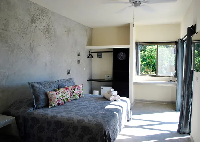 Hotel Boutique 06 (adults Only)