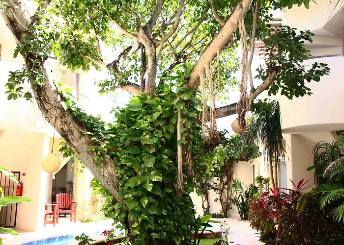 Hotel Boutique 06 (adults Only) 3*