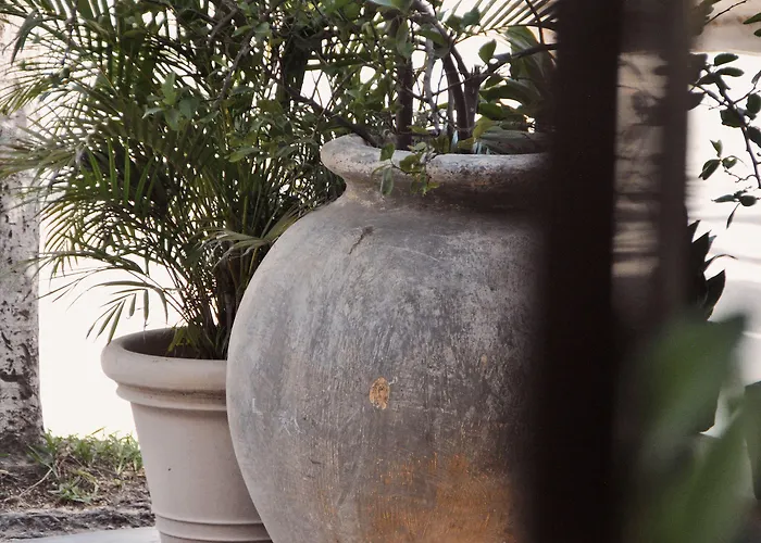 Hotel Boutique 06 (adults Only) Tulum