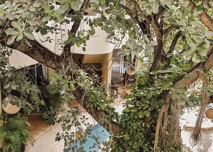 Boutique 06 (adults Only) 3*